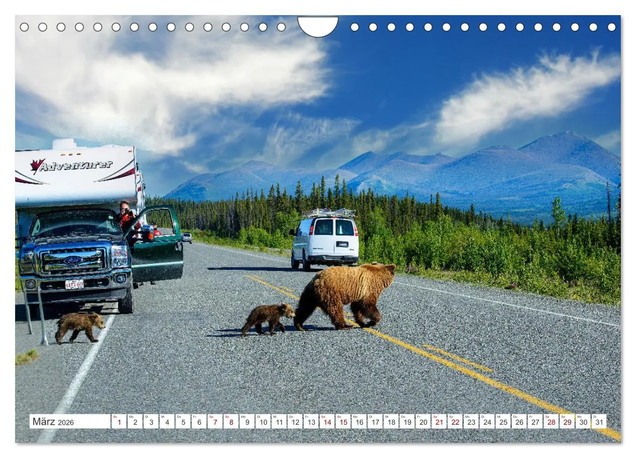 Bild: 9783457369265 | KANADA - Die Bären der Rocky Mountains (Wandkalender 2026 DIN A4...