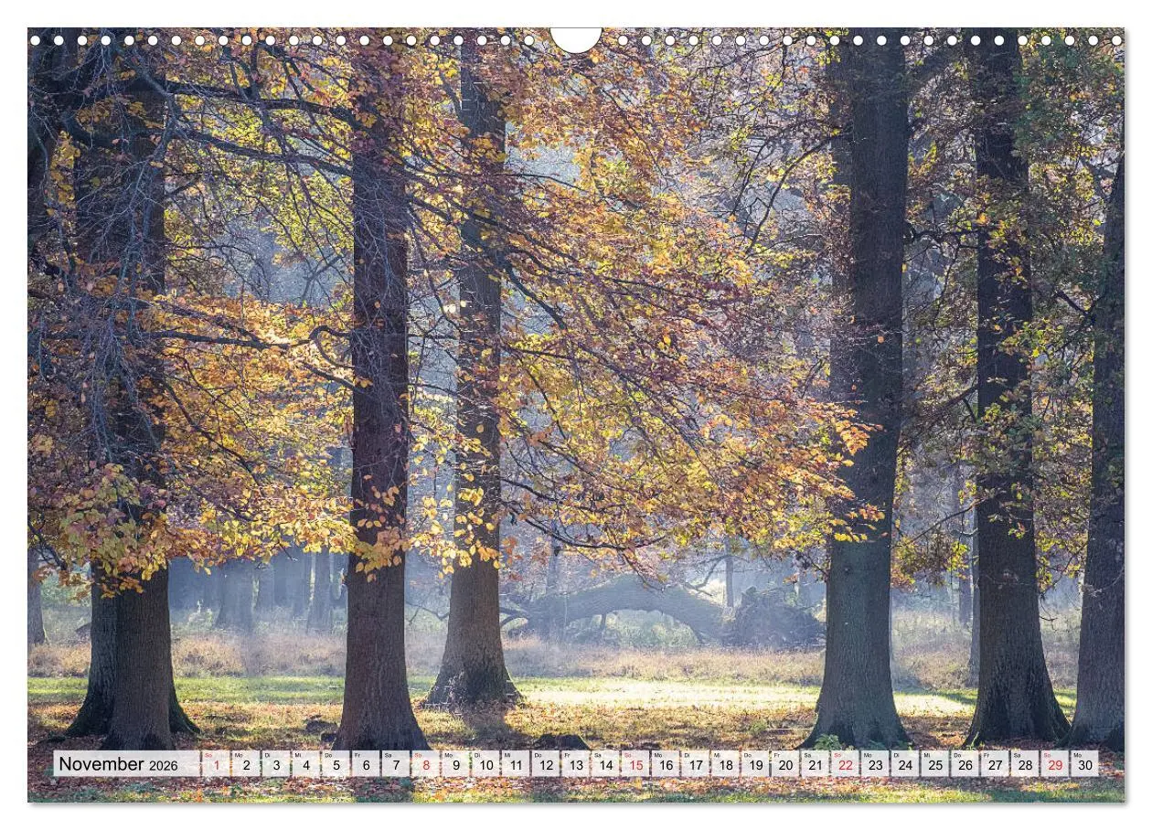 Bild: 9783457819265 | Norddeutsche Landschaften (Wandkalender 2026 DIN A3 quer), CALVENDO...