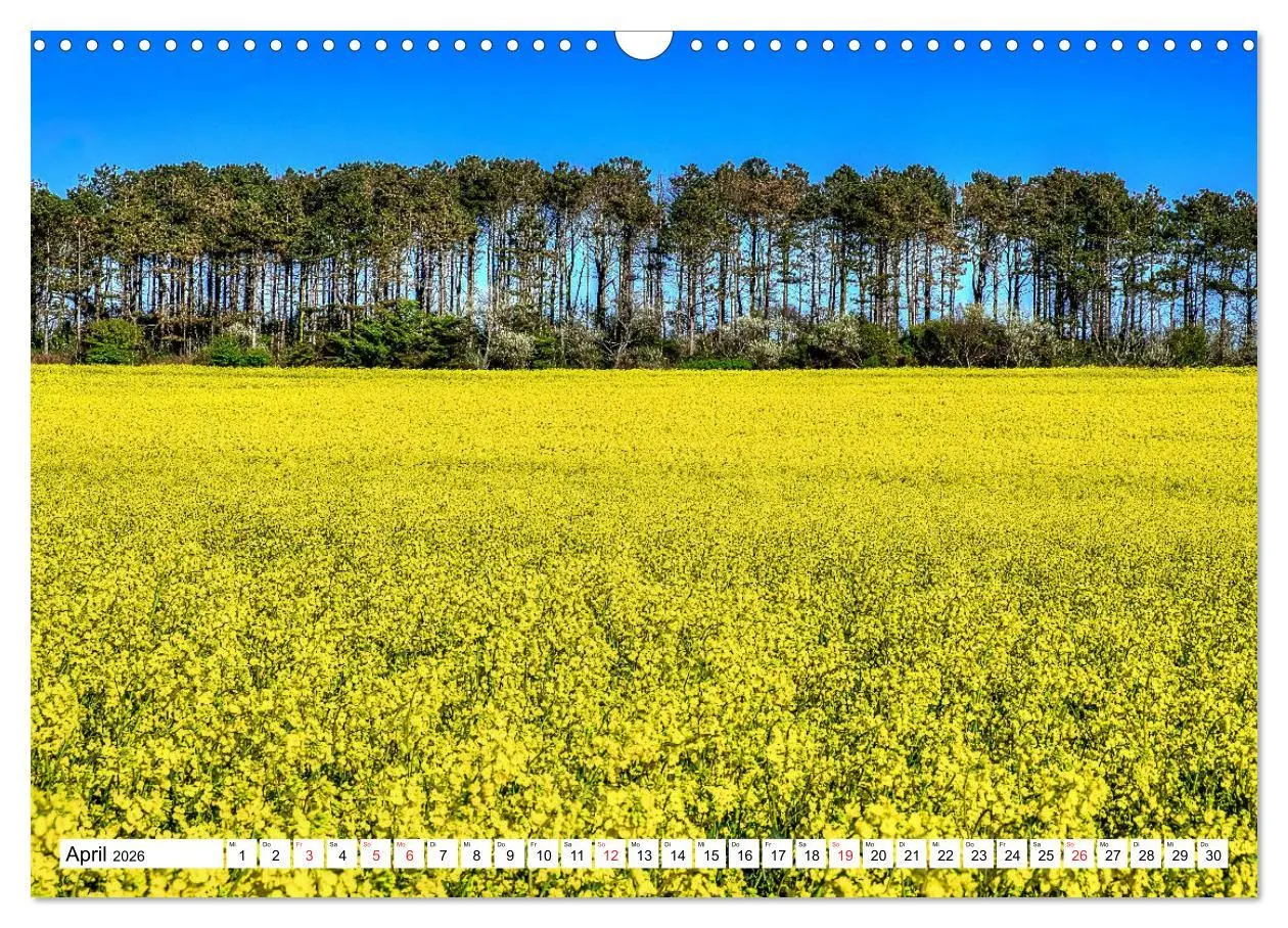 Bild: 9783457819265 | Norddeutsche Landschaften (Wandkalender 2026 DIN A3 quer), CALVENDO...