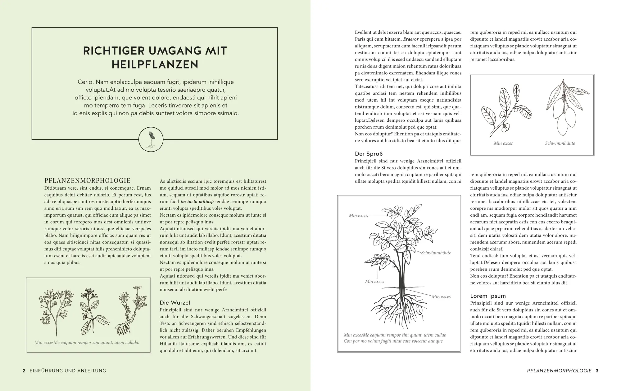 Bild: 9783833879265 | Das große Buch der Heilpflanzen | Mannfried Pahlow | Buch | 504 S.