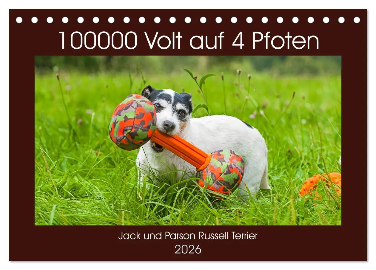 Cover: 9783457809365 | 100000 Volt auf vier Pfoten - Jack und Parson Russell Terrier...