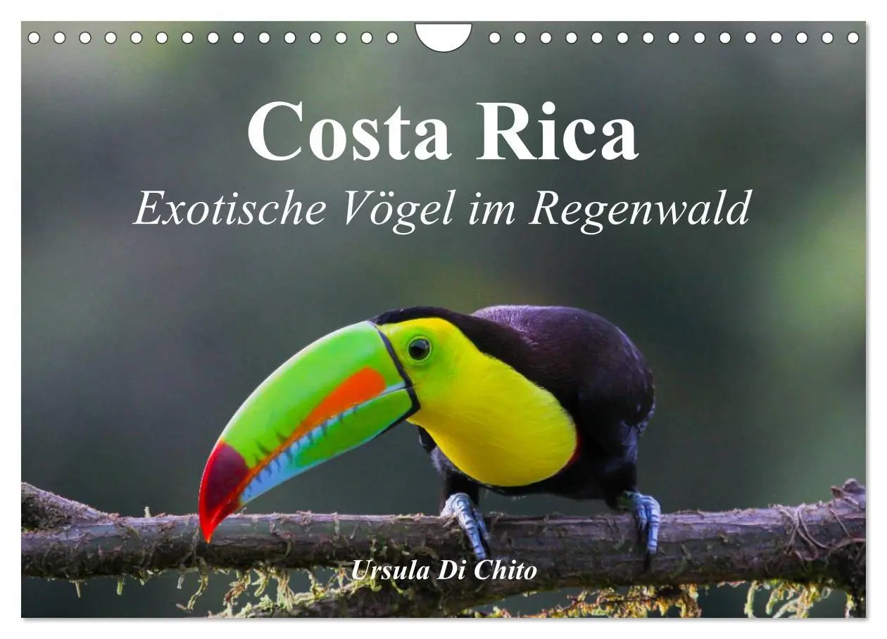 Cover: 9783516069365 | Costa Rica - Exotische Vögel im Regenwald (Wandkalender 2026 DIN A4...