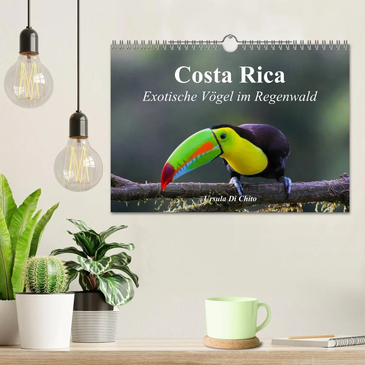 Bild: 9783516069365 | Costa Rica - Exotische Vögel im Regenwald (Wandkalender 2026 DIN A4...