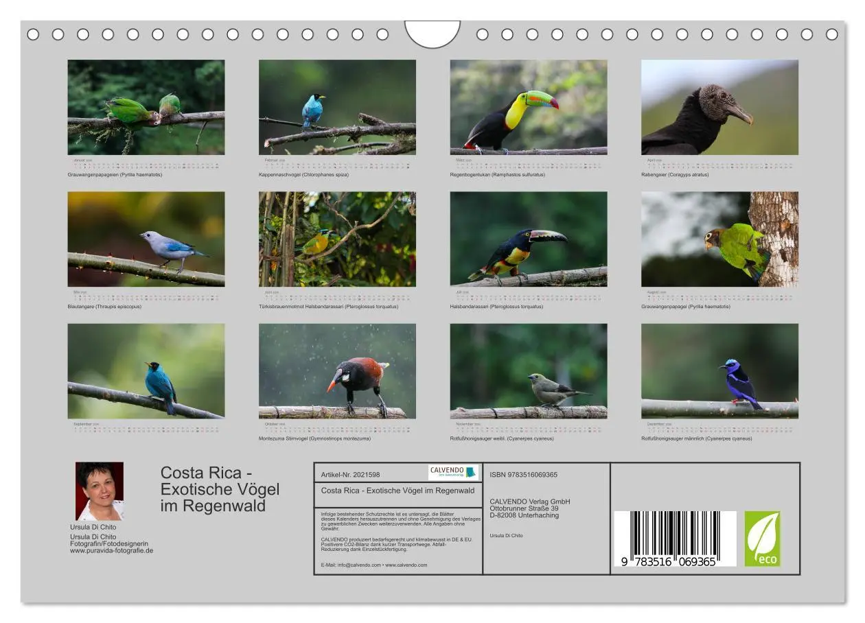 Bild: 9783516069365 | Costa Rica - Exotische Vögel im Regenwald (Wandkalender 2026 DIN A4...