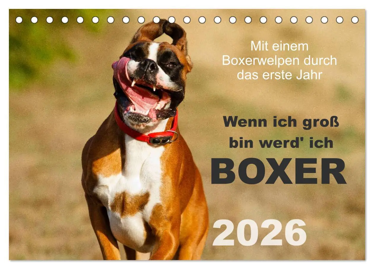 Cover: 9783516139365 | Wenn ich groß bin werd' ich Boxer (Tischkalender 2026 DIN A5 quer),...