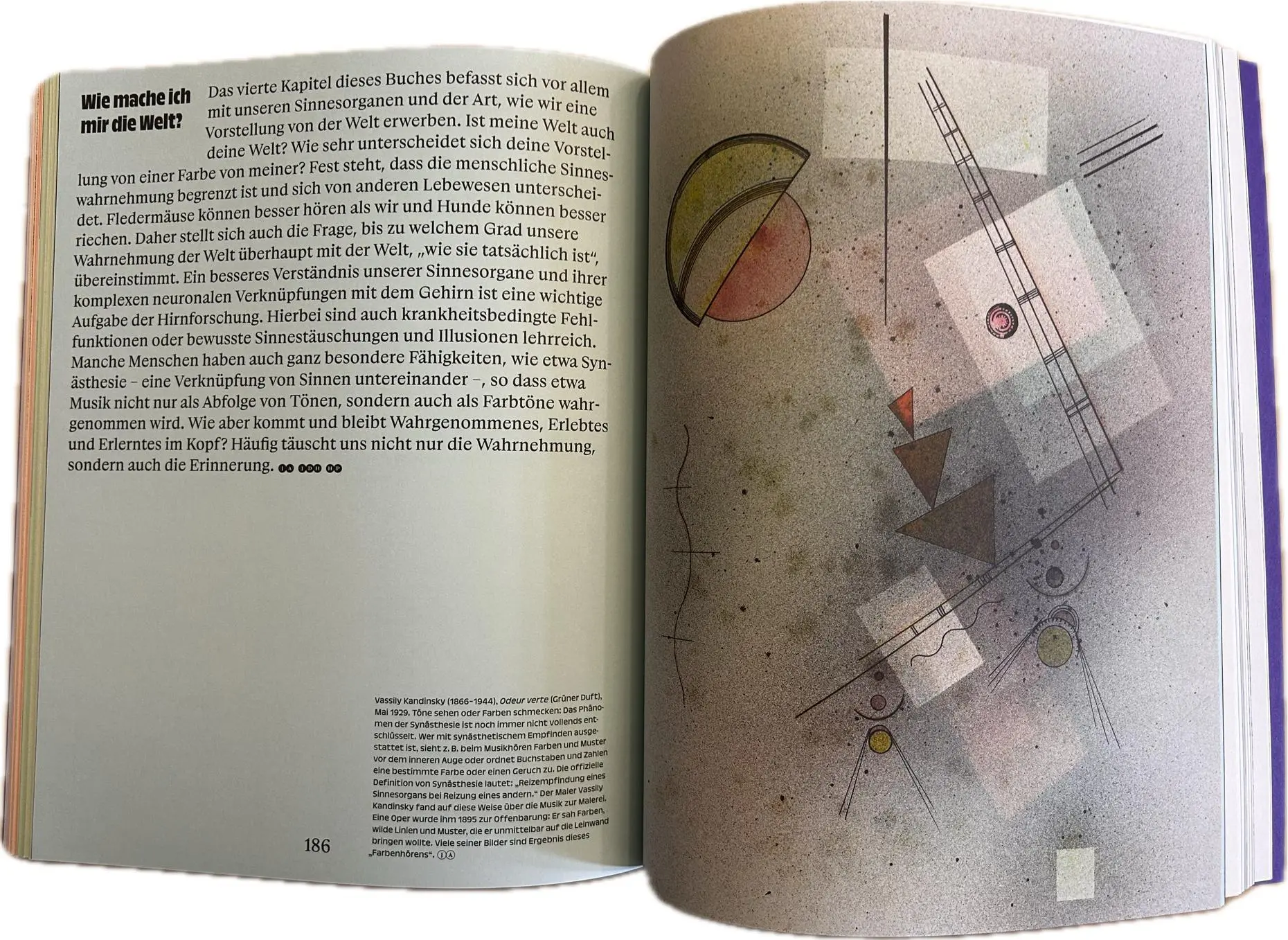 Bild: 9783777439365 | Das Gehirn | In Kunst und Wissenschaft | GmbH | Taschenbuch | 272 S.