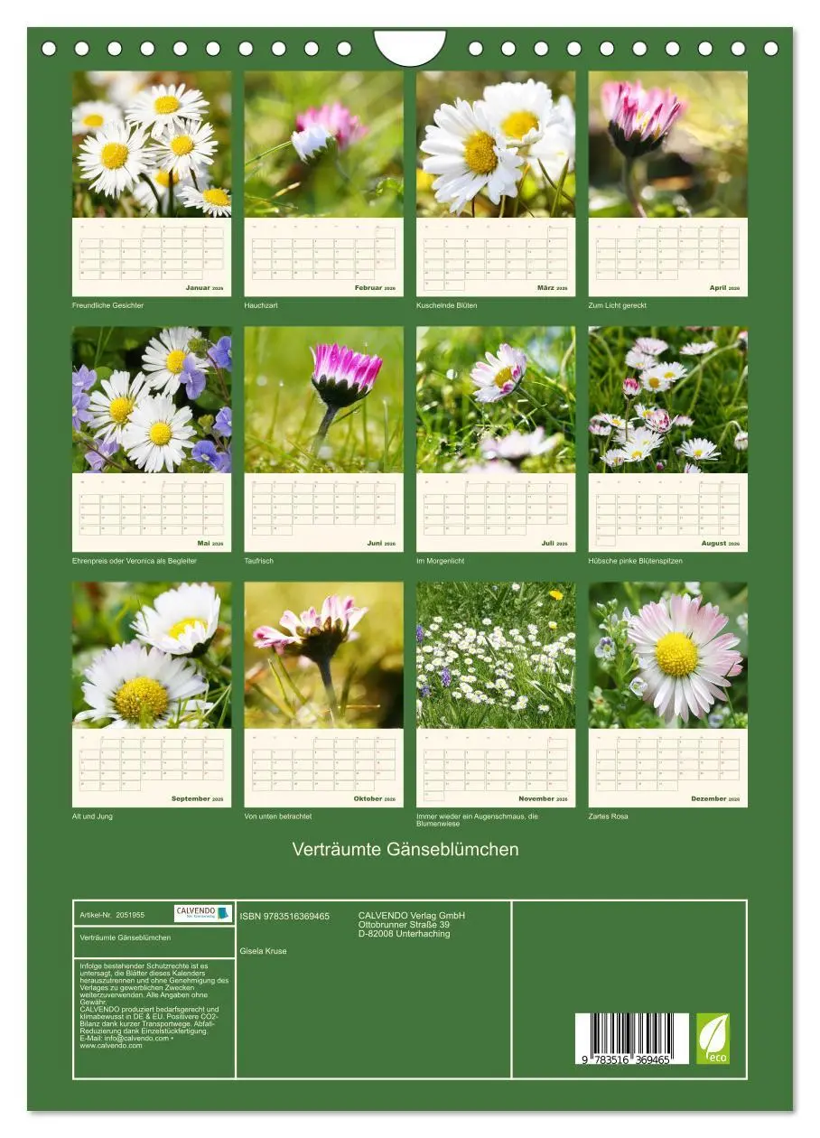 Bild: 9783516369465 | Verträumte Gänseblümchen (Wandkalender 2026 DIN A4 hoch), CALVENDO...