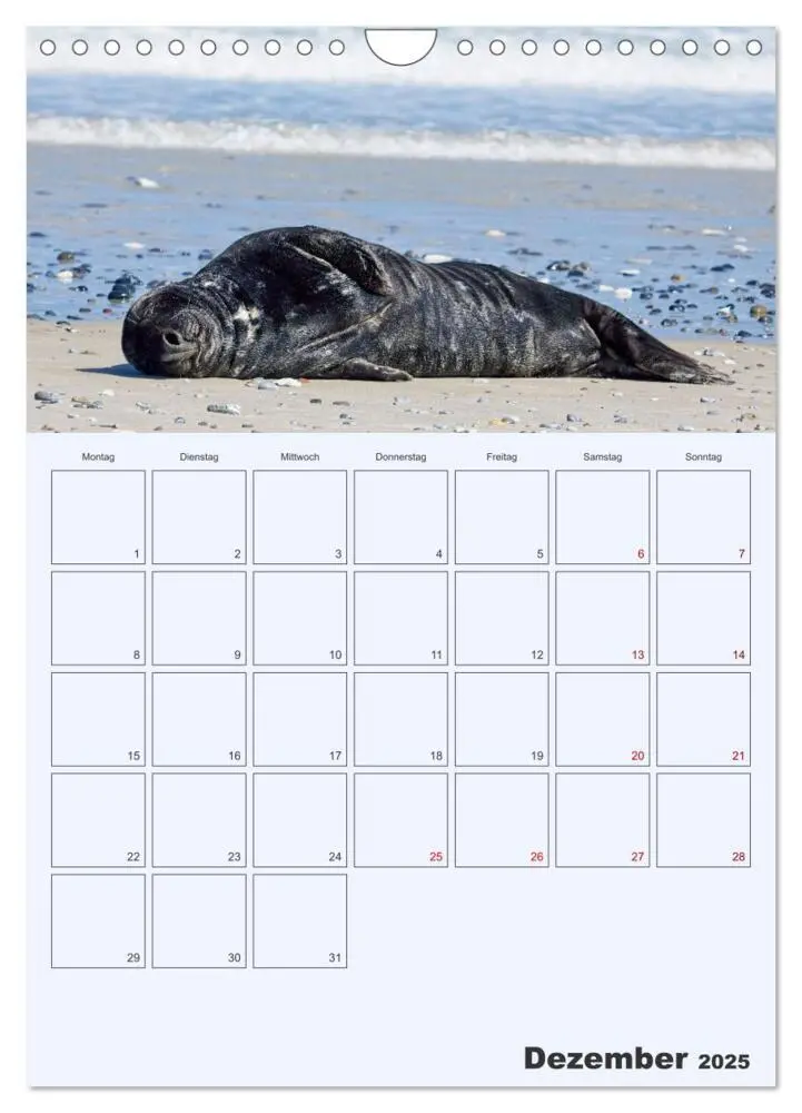 Bild: 9783435869565 | Wildes Leben auf Helgoland (Wandkalender 2025 DIN A4 hoch),...