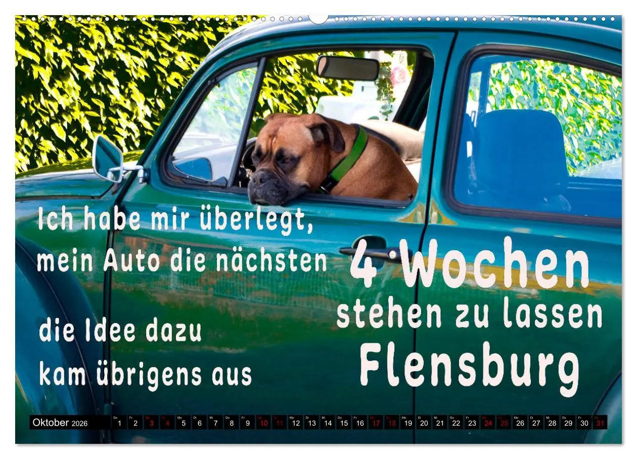 Bild: 9783457649565 | Spruchreif - Gute-Laune-Kalender (Wandkalender 2026 DIN A2 quer),...