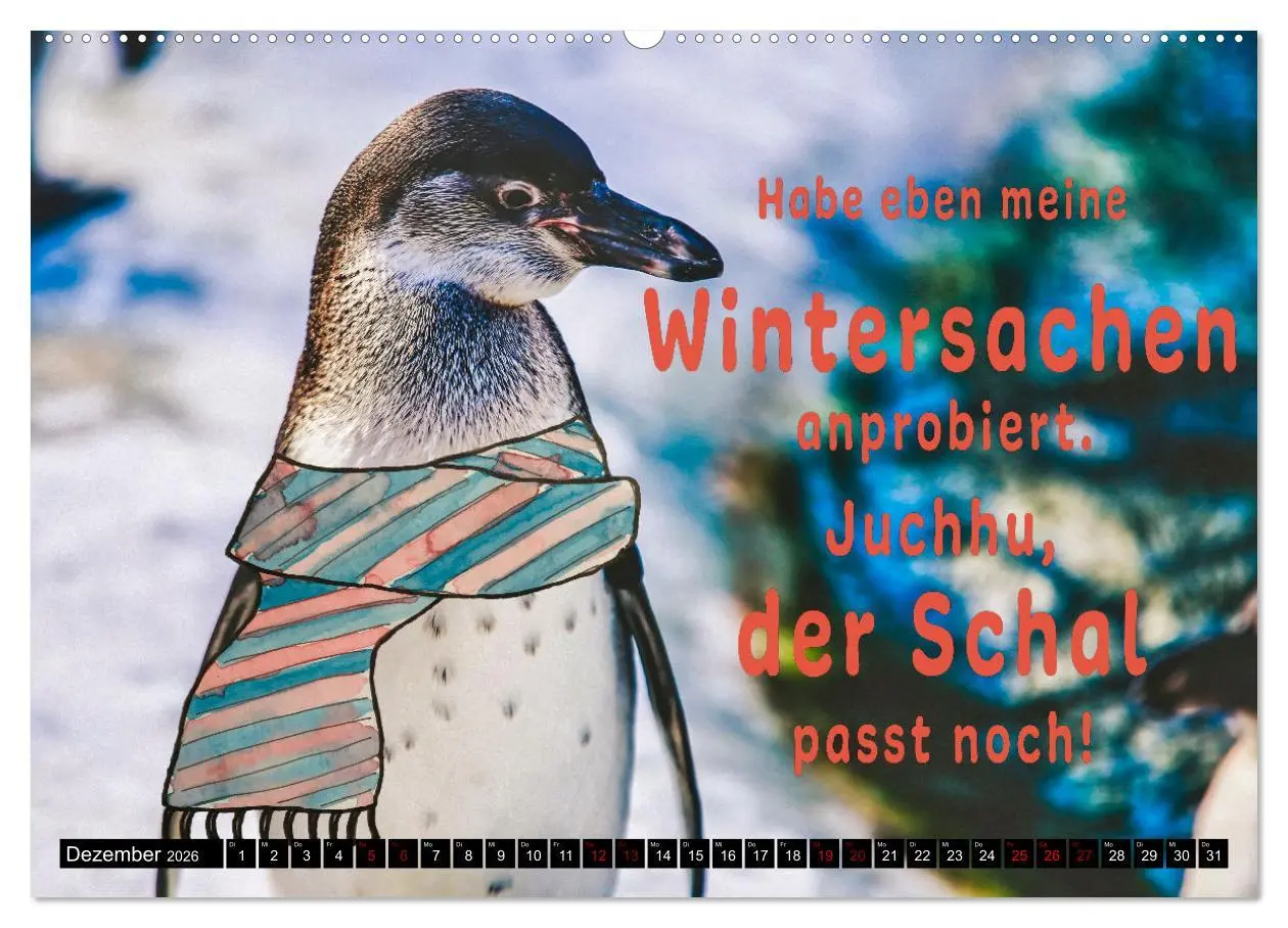 Bild: 9783457649565 | Spruchreif - Gute-Laune-Kalender (Wandkalender 2026 DIN A2 quer),...