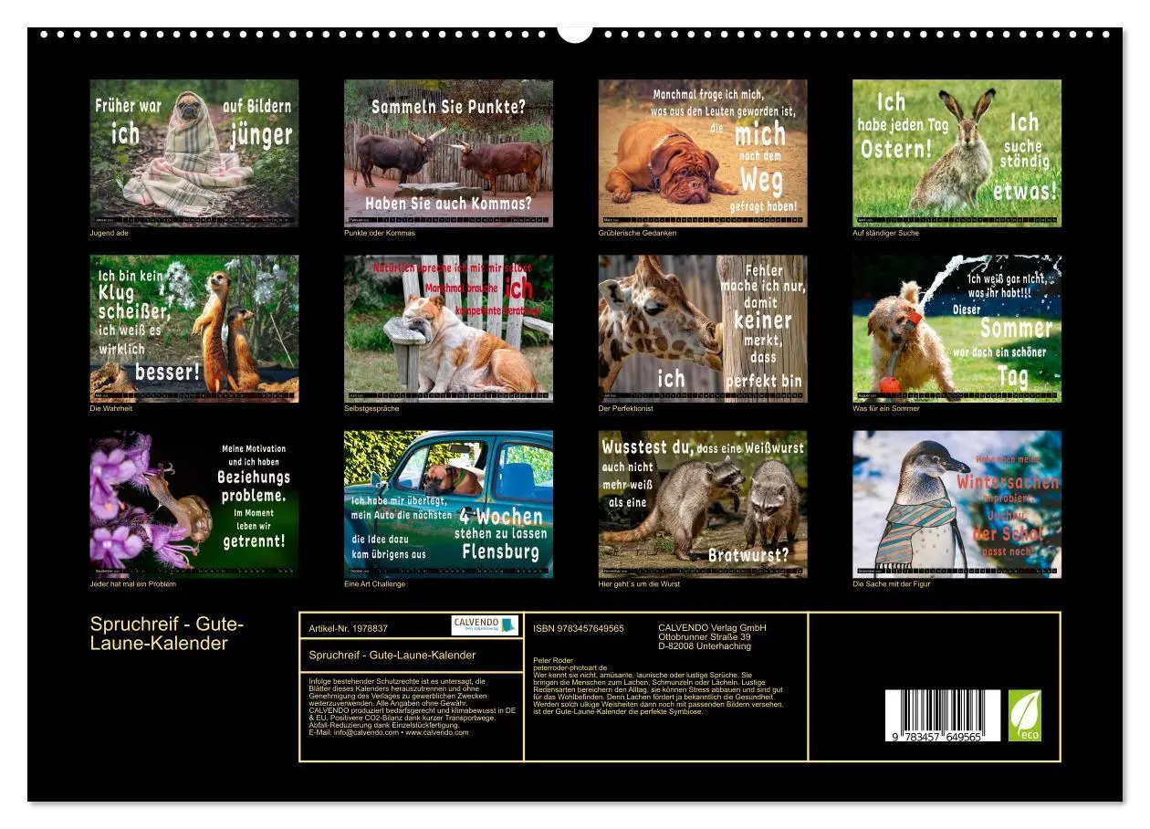 Bild: 9783457649565 | Spruchreif - Gute-Laune-Kalender (Wandkalender 2026 DIN A2 quer),...