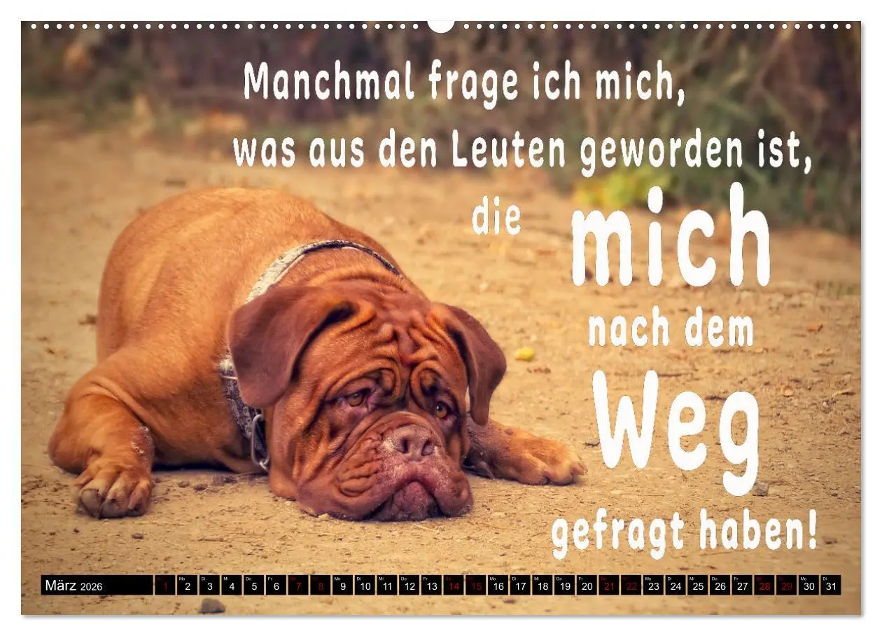 Bild: 9783457649565 | Spruchreif - Gute-Laune-Kalender (Wandkalender 2026 DIN A2 quer),...