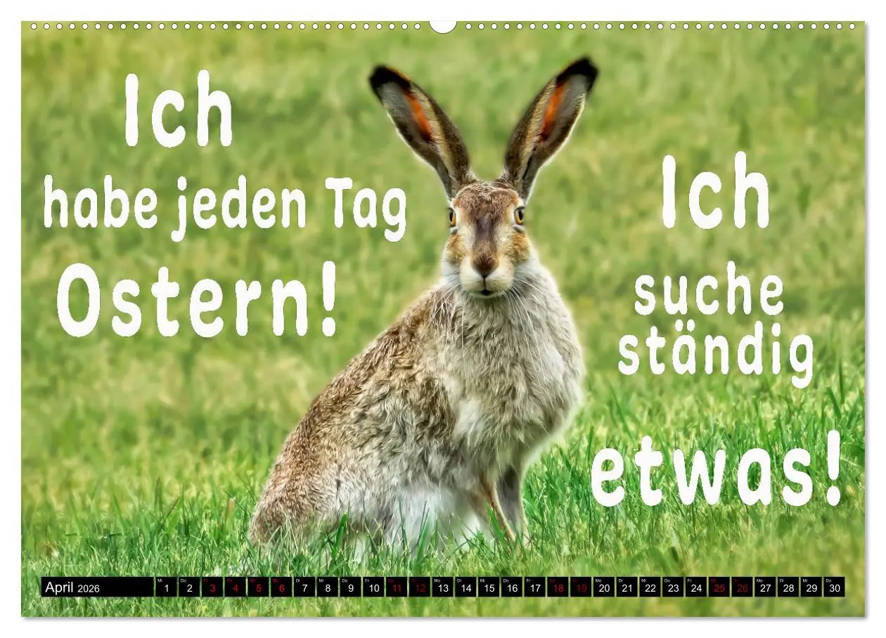 Bild: 9783457649565 | Spruchreif - Gute-Laune-Kalender (Wandkalender 2026 DIN A2 quer),...