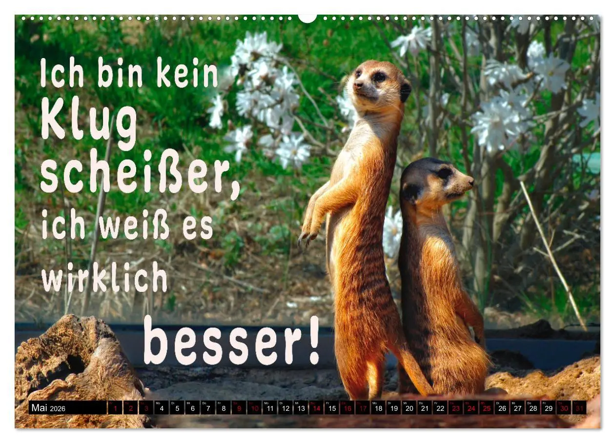 Bild: 9783457649565 | Spruchreif - Gute-Laune-Kalender (Wandkalender 2026 DIN A2 quer),...