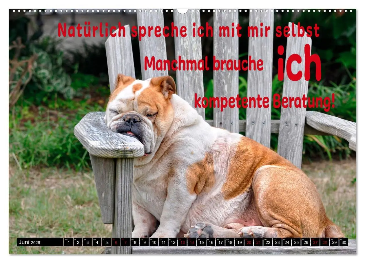 Bild: 9783457649565 | Spruchreif - Gute-Laune-Kalender (Wandkalender 2026 DIN A2 quer),...