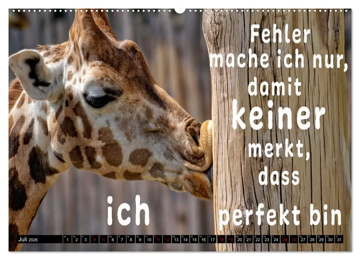 Bild: 9783457649565 | Spruchreif - Gute-Laune-Kalender (Wandkalender 2026 DIN A2 quer),...