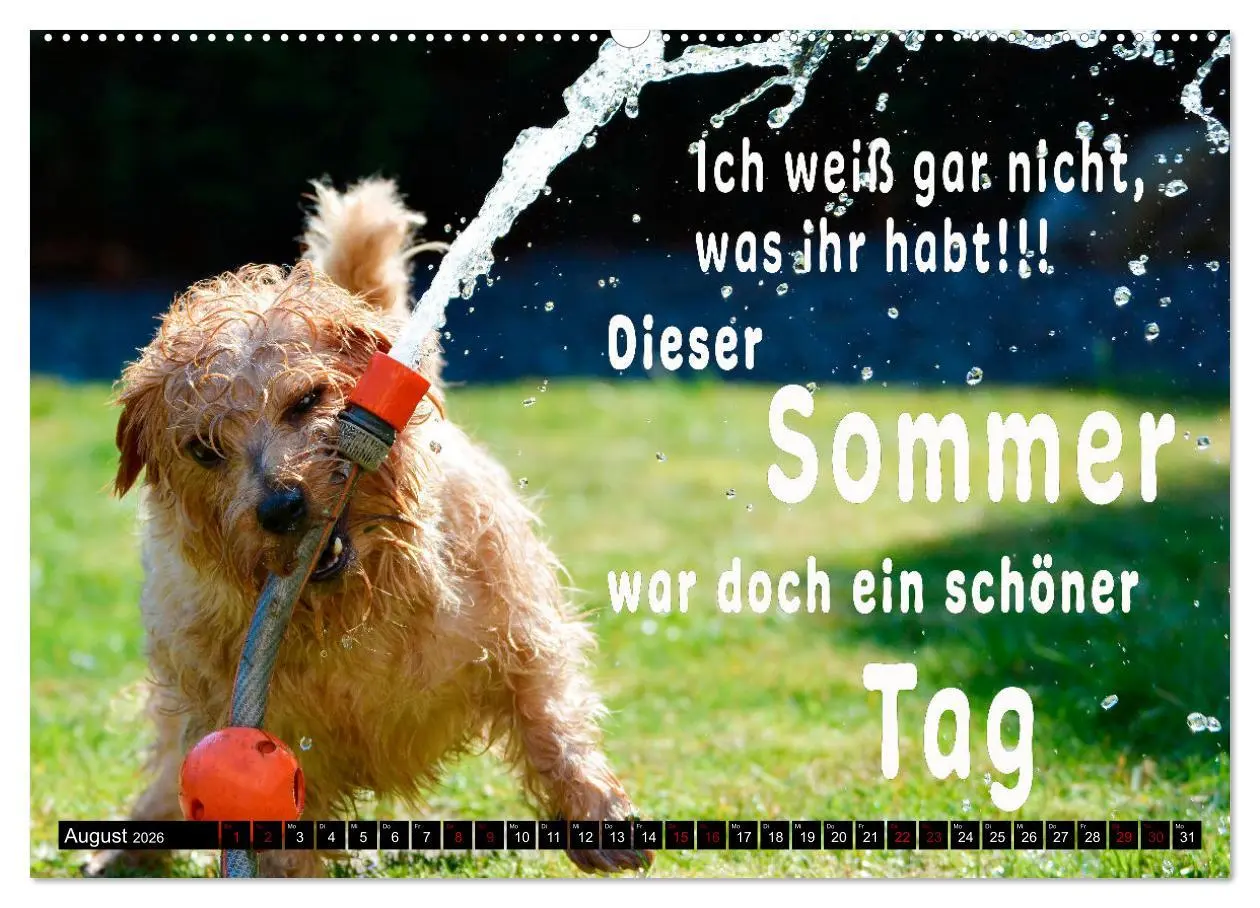 Bild: 9783457649565 | Spruchreif - Gute-Laune-Kalender (Wandkalender 2026 DIN A2 quer),...