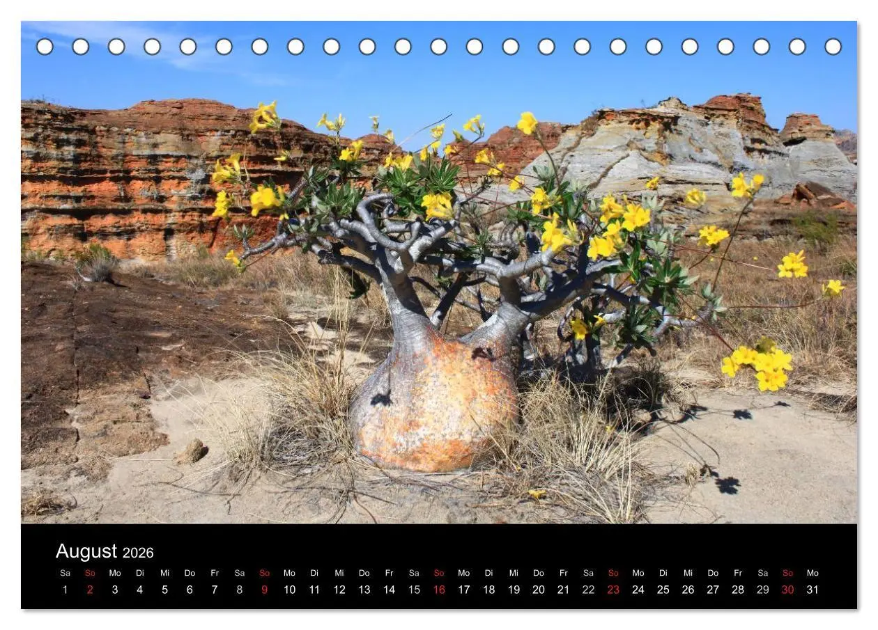 Bild: 9783457959565 | Abenteuer Madagaskar (Tischkalender 2026 DIN A5 quer), CALVENDO...