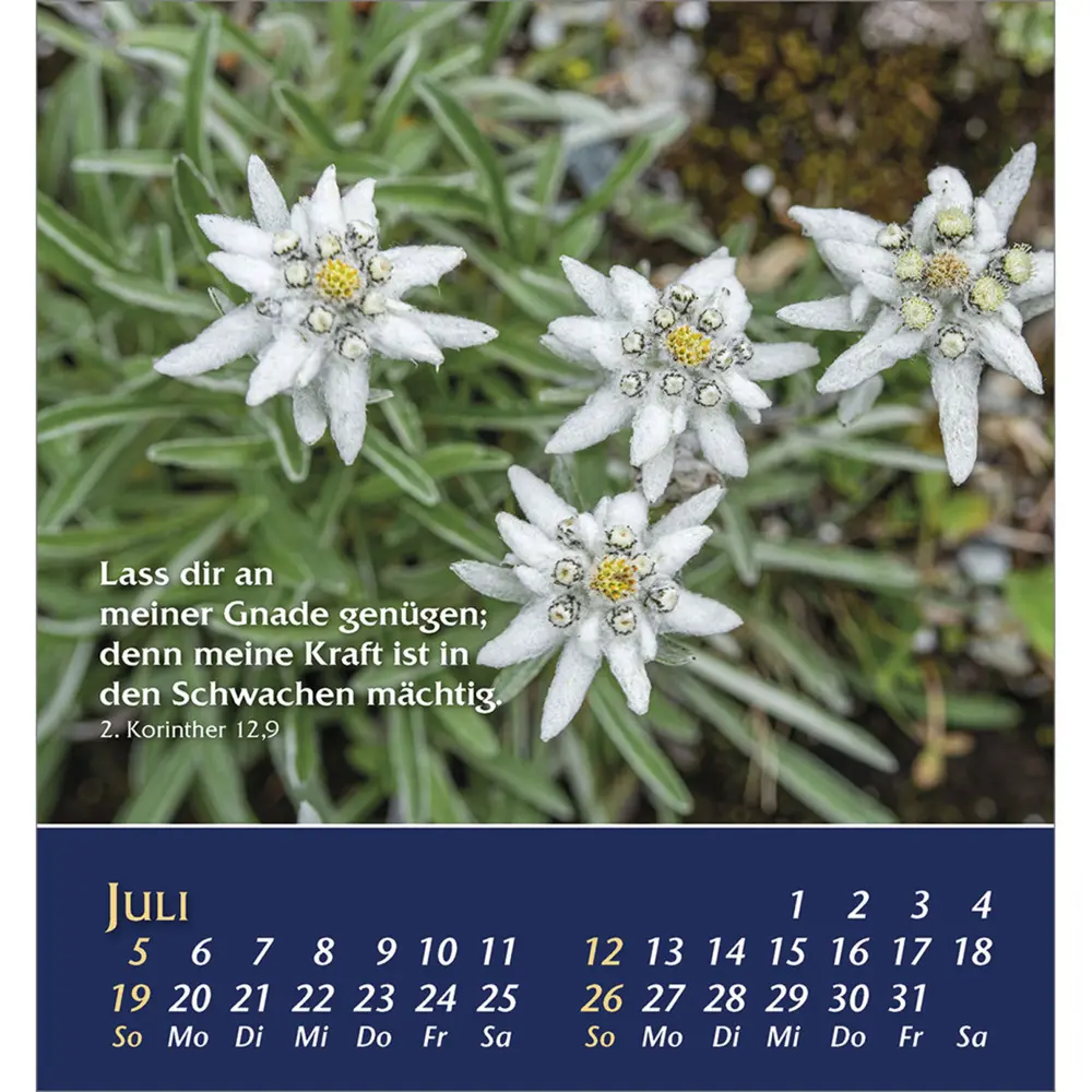Bild: 9783754889565 | Aus der Stille leben 2026 | Kalender | Spiralbindung | 14 S. | Deutsch