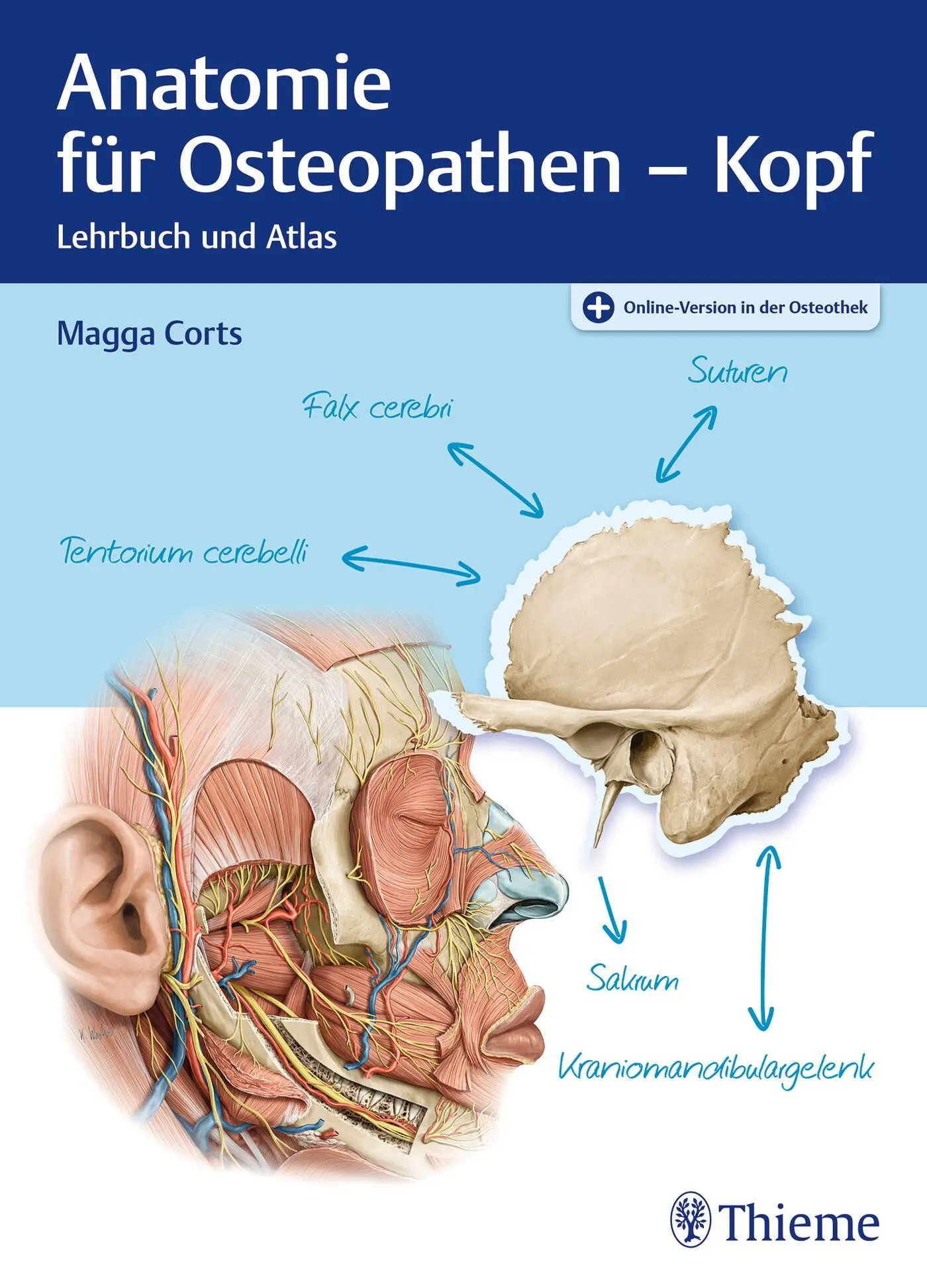 Cover: 9783132439665 | Anatomie für Osteopathen - Kopf | Magga Corts | Bundle | 1 Buch | 2023