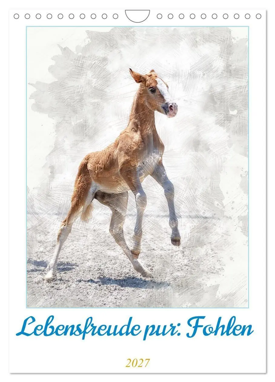 Cover: 9783516969665 | Lebensfreude pur: Fohlen (Wandkalender 2027 DIN A4 hoch), CALVENDO...