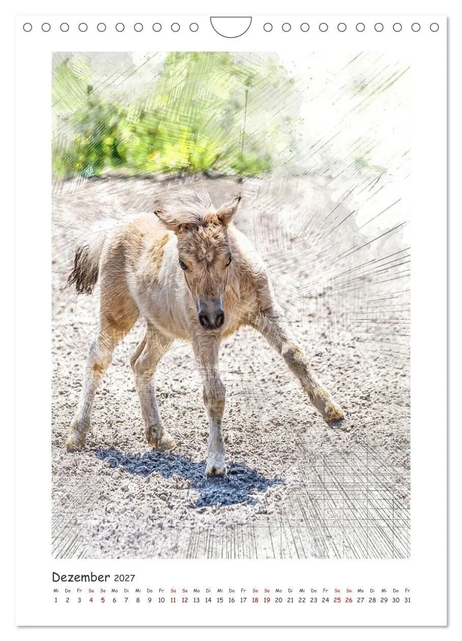 Bild: 9783516969665 | Lebensfreude pur: Fohlen (Wandkalender 2027 DIN A4 hoch), CALVENDO...