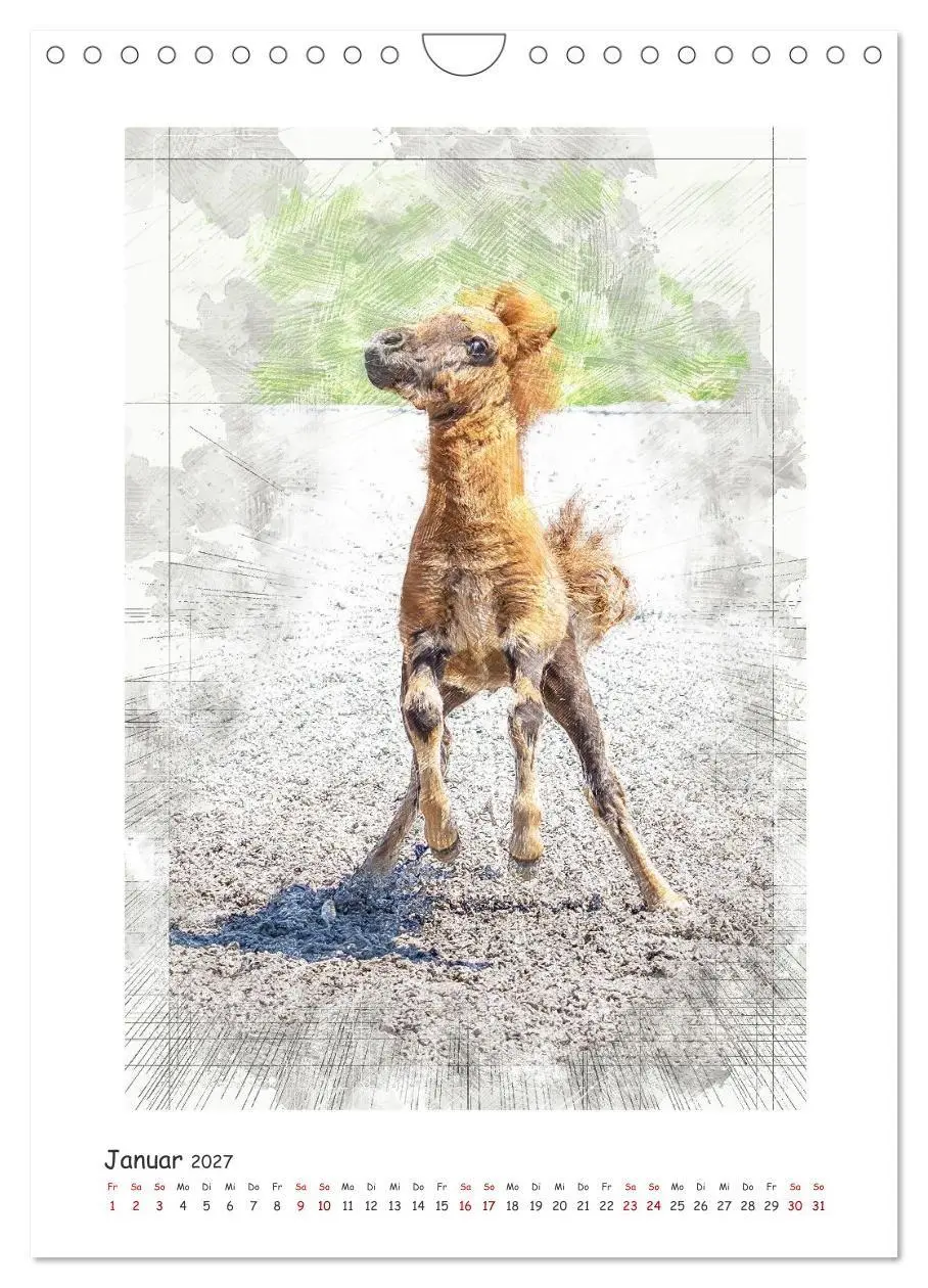 Bild: 9783516969665 | Lebensfreude pur: Fohlen (Wandkalender 2027 DIN A4 hoch), CALVENDO...