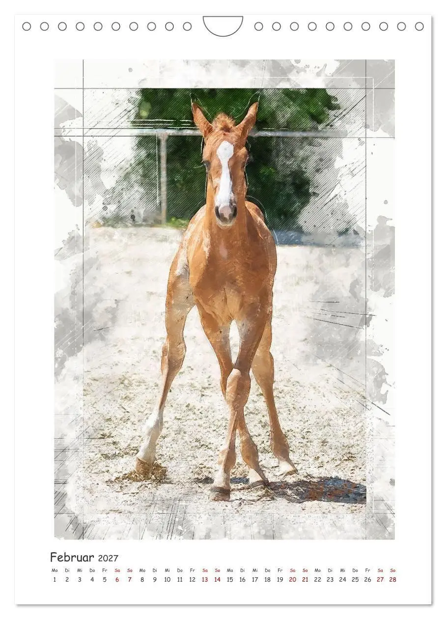 Bild: 9783516969665 | Lebensfreude pur: Fohlen (Wandkalender 2027 DIN A4 hoch), CALVENDO...