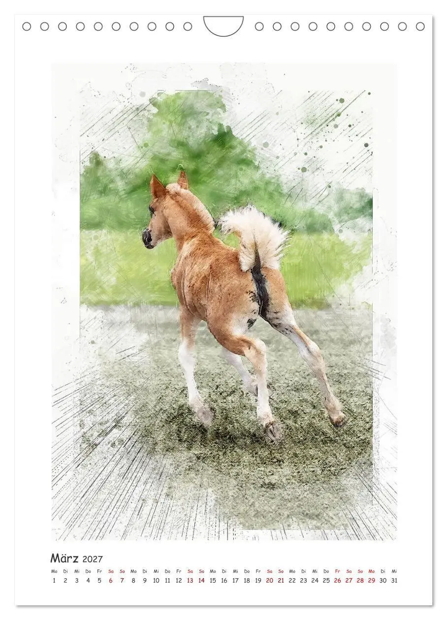 Bild: 9783516969665 | Lebensfreude pur: Fohlen (Wandkalender 2027 DIN A4 hoch), CALVENDO...