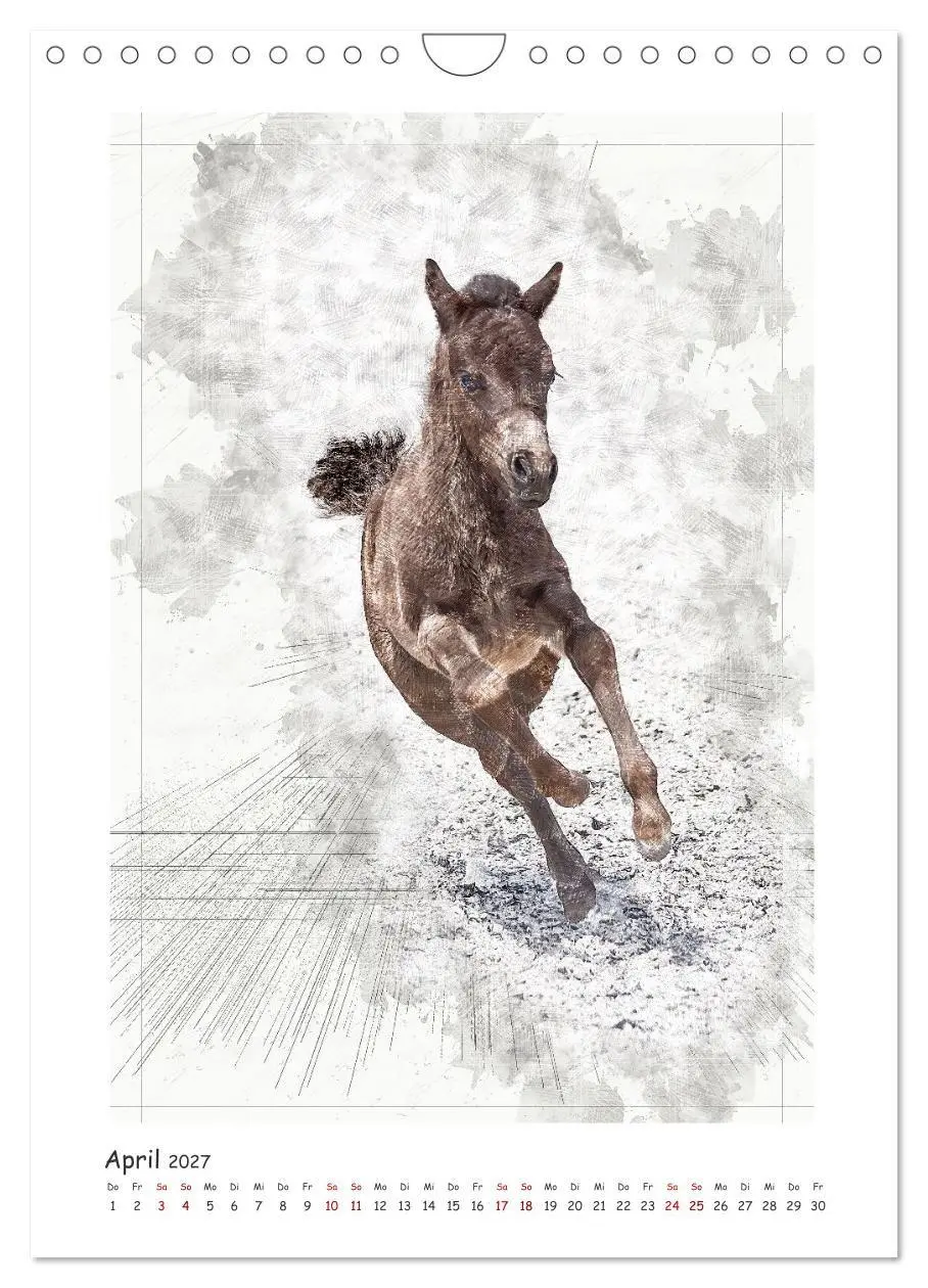 Bild: 9783516969665 | Lebensfreude pur: Fohlen (Wandkalender 2027 DIN A4 hoch), CALVENDO...