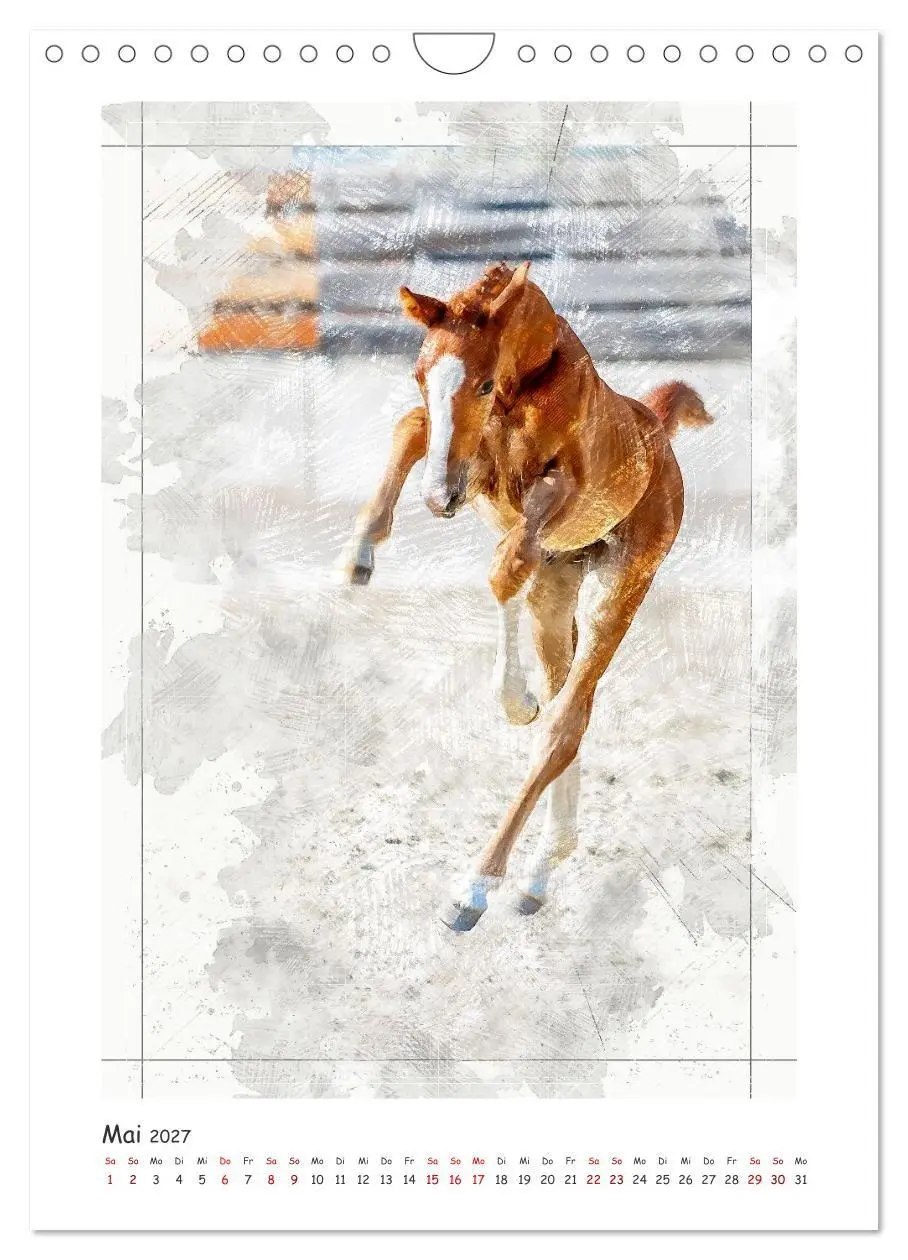 Bild: 9783516969665 | Lebensfreude pur: Fohlen (Wandkalender 2027 DIN A4 hoch), CALVENDO...