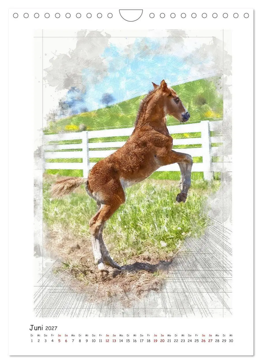 Bild: 9783516969665 | Lebensfreude pur: Fohlen (Wandkalender 2027 DIN A4 hoch), CALVENDO...