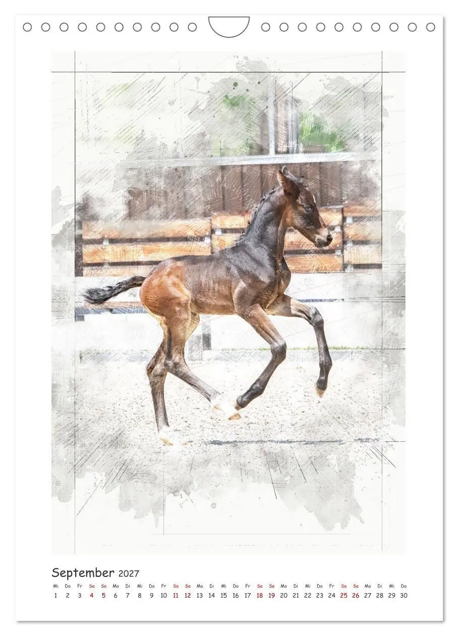 Bild: 9783516969665 | Lebensfreude pur: Fohlen (Wandkalender 2027 DIN A4 hoch), CALVENDO...