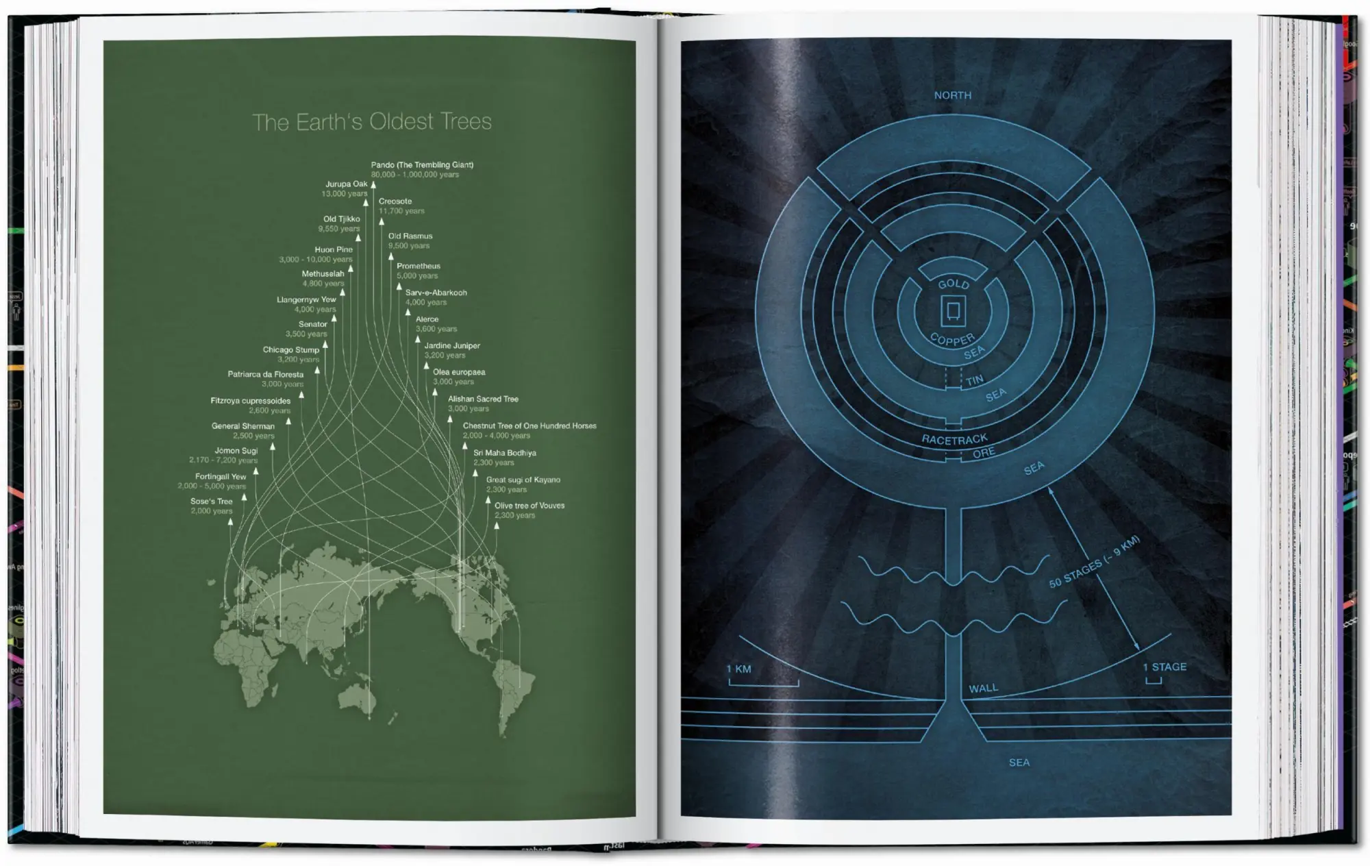 Bild: 9783836599665 | Information Graphics. 45th Ed. | Sandra Rendgen | Buch | 512 S. | 2025