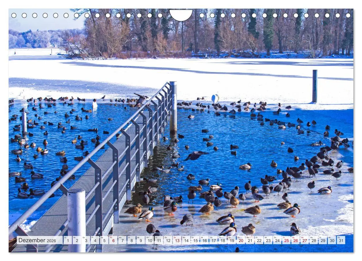 Bild: 9783457559765 | Masuren - Polens Seen-Paradies (Wandkalender 2026 DIN A4 quer),...