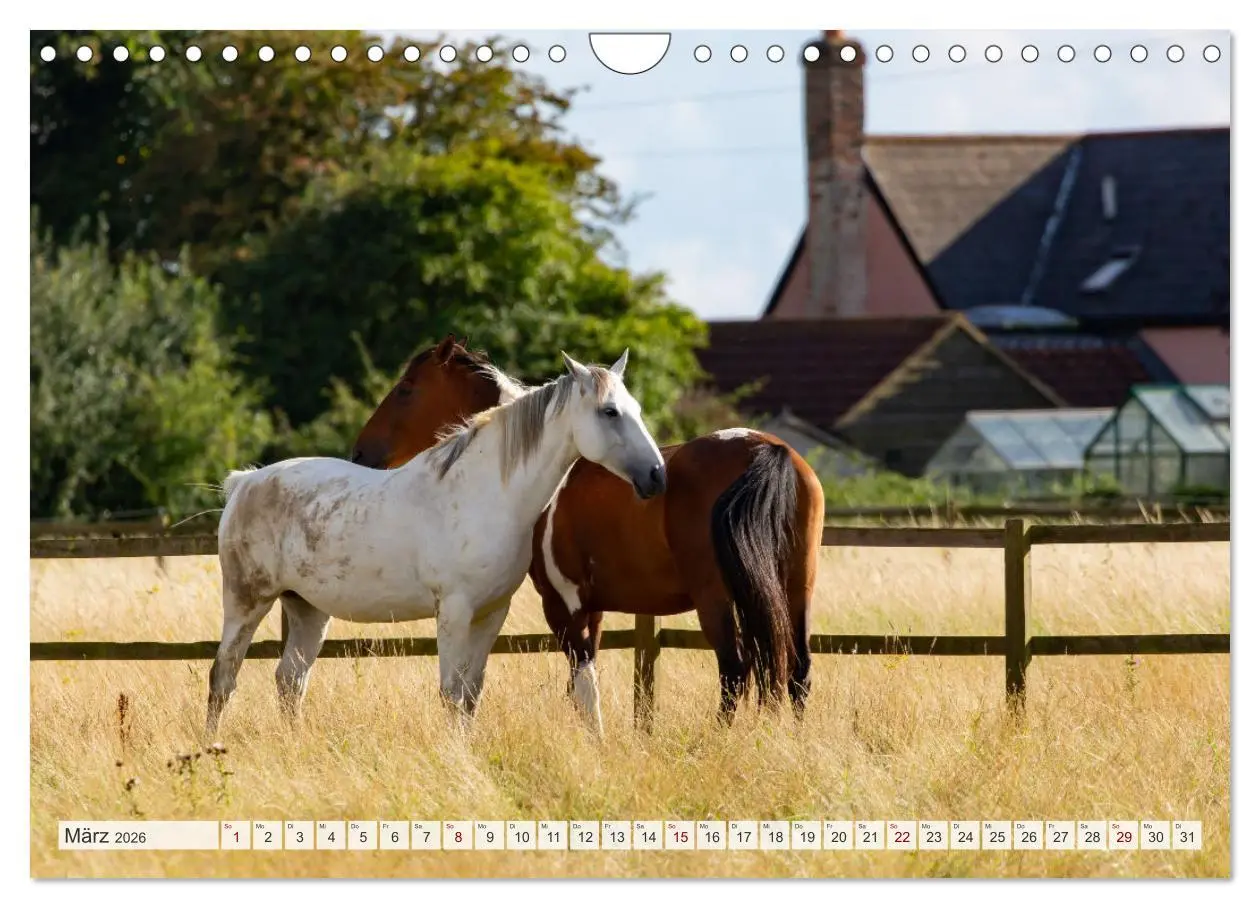 Bild: 9783457559765 | Masuren - Polens Seen-Paradies (Wandkalender 2026 DIN A4 quer),...