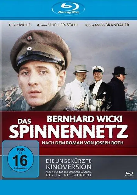 Das Spinnennetz