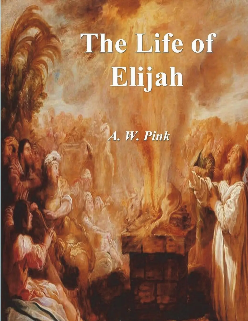 Cover: 9781773239965 | The Life of Elijah | A. W. Pink | Taschenbuch | Englisch | 2023