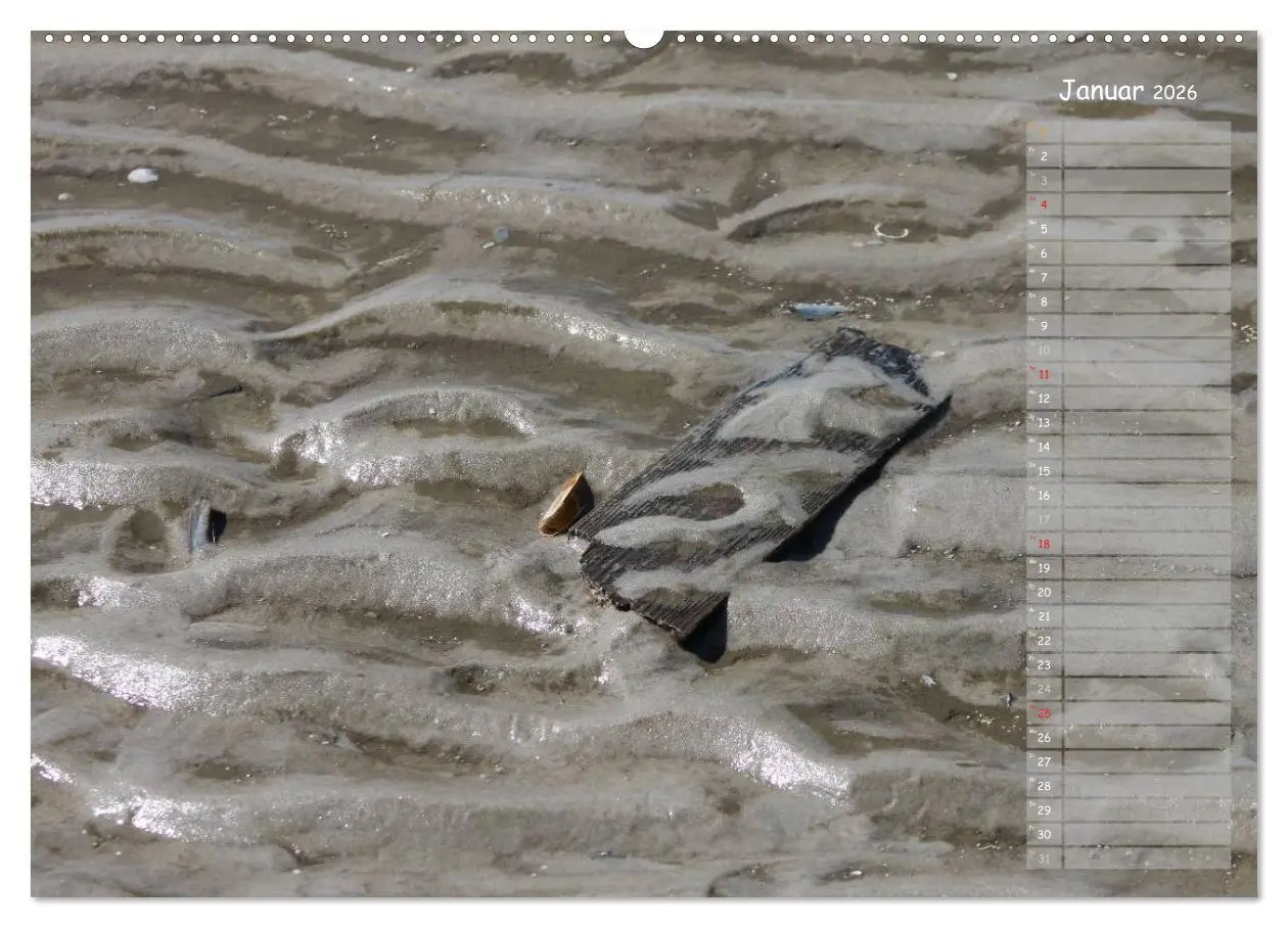 Bild: 9783516179965 | Strandspaziergang / Geburtstagskalender (Wandkalender 2026 DIN A2...