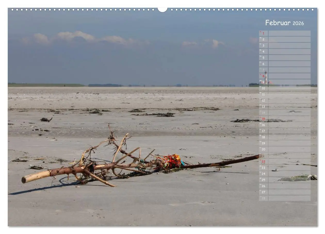 Bild: 9783516179965 | Strandspaziergang / Geburtstagskalender (Wandkalender 2026 DIN A2...