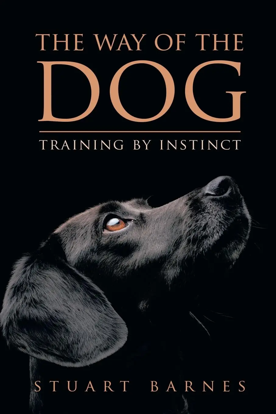Cover: 9781669880066 | The Way of the Dog | Training by Instinct | Stuart Barnes | Buch