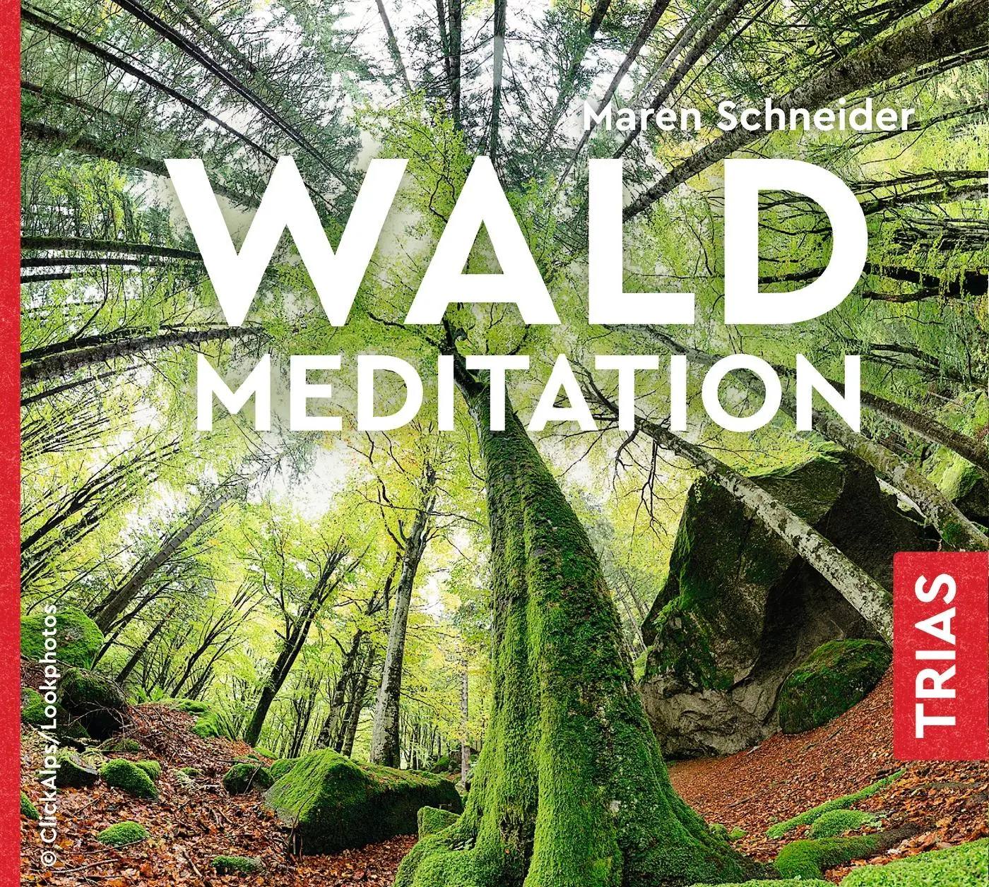 Cover: 9783432110066 | Waldmeditation | Maren Schneider | Audio-CD | Hörbuch Gesundheit