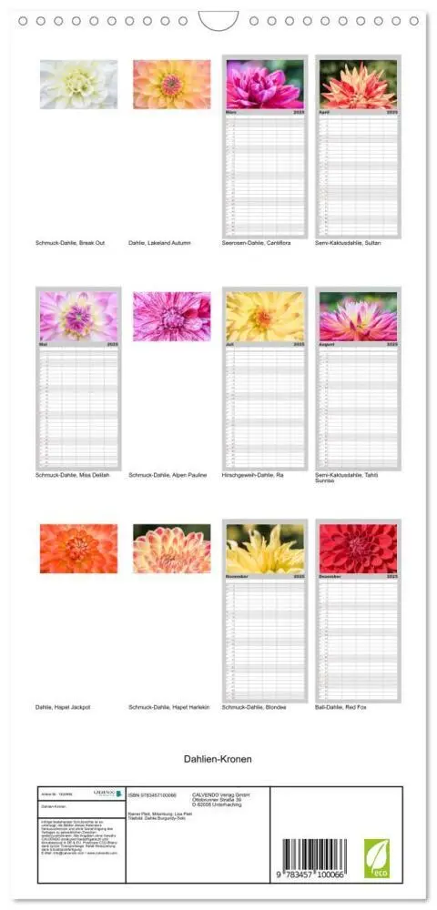 Bild: 9783457100066 | Familienplaner 2025 - Dahlien-Kronen mit 5 Spalten (Wandkalender,...
