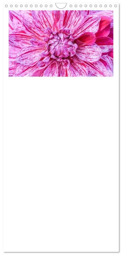 Bild: 9783457100066 | Familienplaner 2025 - Dahlien-Kronen mit 5 Spalten (Wandkalender,...