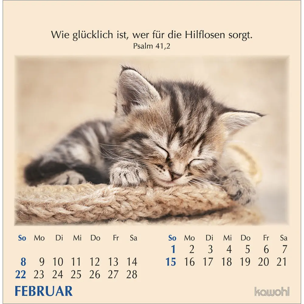 Bild: 9783754890066 | Worte des Lebens 2026 | Kalender | Spiralbindung | 13 S. | Deutsch