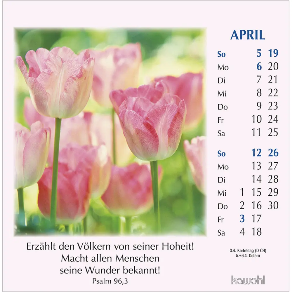 Bild: 9783754890066 | Worte des Lebens 2026 | Kalender | Spiralbindung | 13 S. | Deutsch