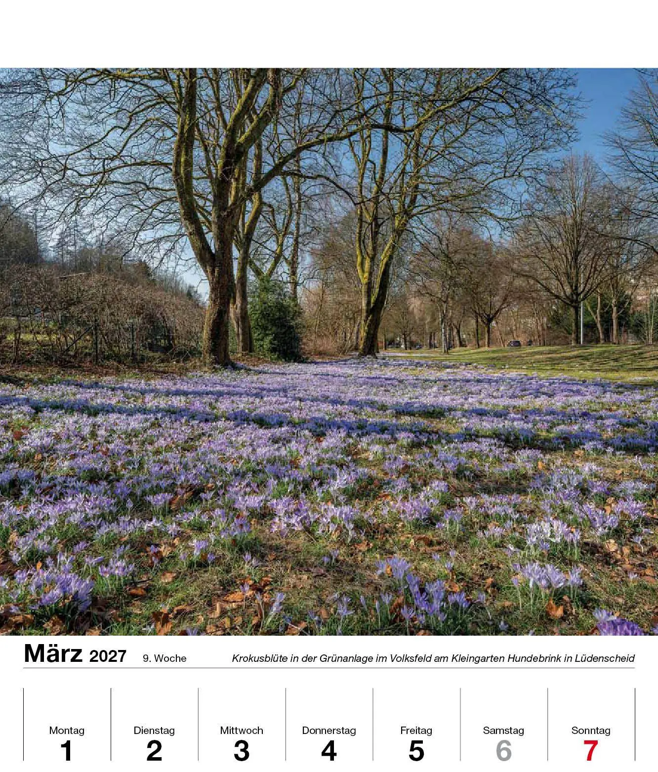 Bild: 9783910690066 | Schönes Sauerland 2027 | Holger Klaes | Kalender | 54 S. | Deutsch