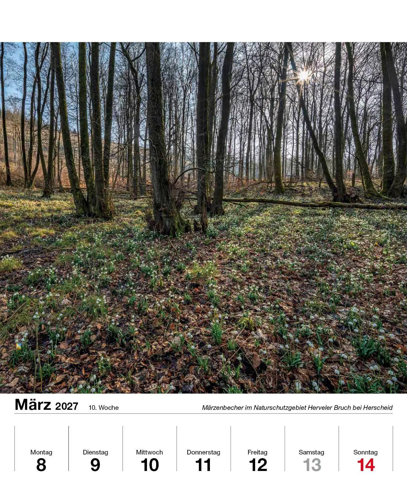 Bild: 9783910690066 | Schönes Sauerland 2027 | Holger Klaes | Kalender | 54 S. | Deutsch