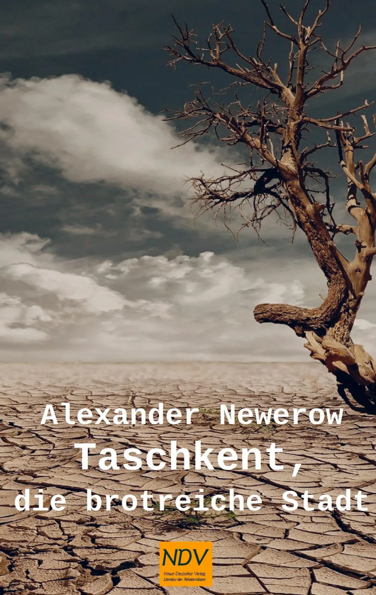 Cover: 9789403660066 | Taschkent, die brotreiche Stadt | Alexander S. Newerow | Taschenbuch