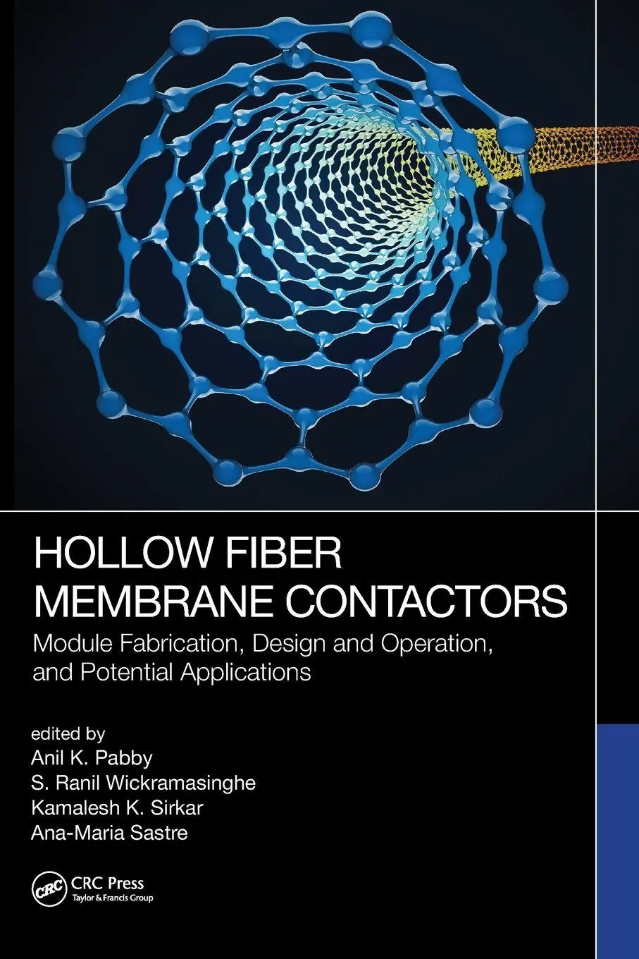 Cover: 9780367610166 | Hollow Fiber Membrane Contactors | Anil K. Pabby (u. a.) | Taschenbuch